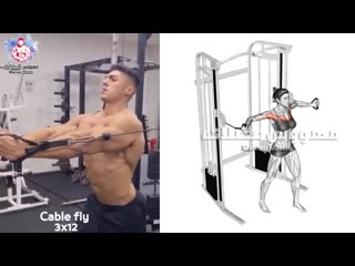 تمارين ابراز خط الوسط لصدر كمال الاجسام 🔩 inner chest workout 🔩