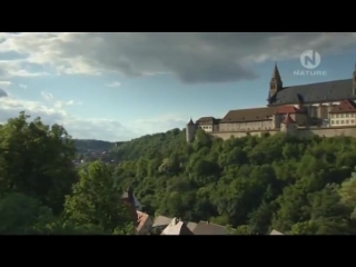 Вороны крылатые проказники