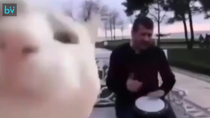 Каждый раз когда я хочу наладить свой режим, в моей голове в 3 часа ночи происходит подобное