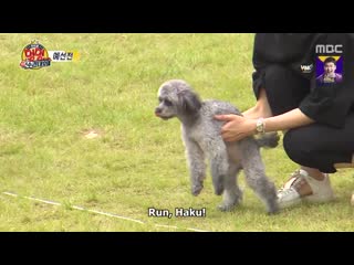 201003 idol woof woof athletics championships chuseok special