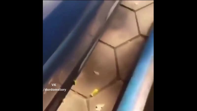Попей porn video – Попей