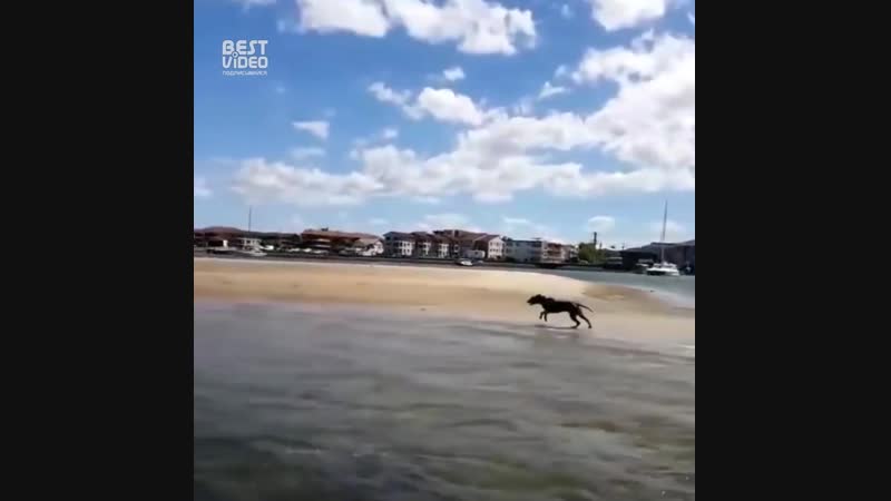 Очень быстрая молодые против катера 1080p