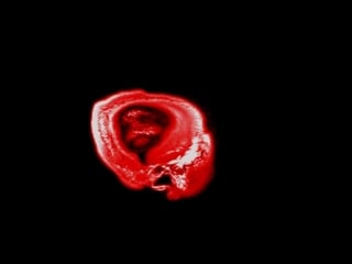 Angelo badalamenti freshly squeezed