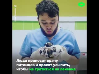 Ветеренар из челябинска