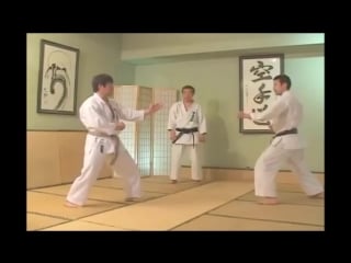 Jiyu ippon kumite дзедан ои цуки 5 вариант