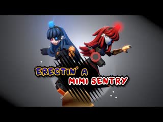 Erectin' a mimi sentry