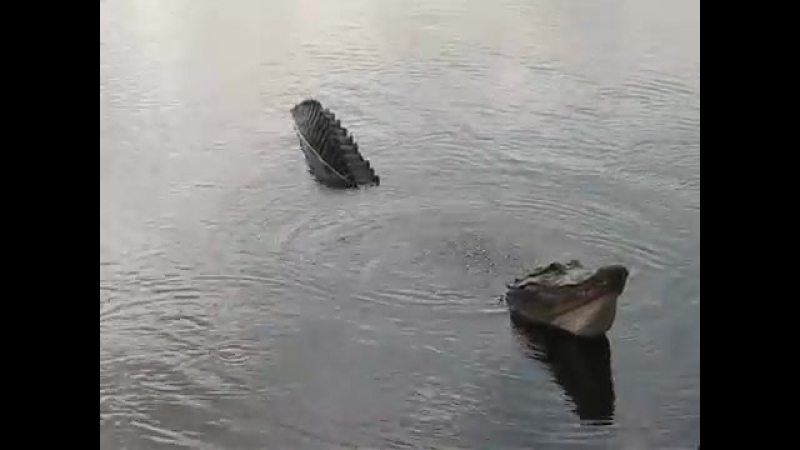 Крокодильчики (vhs video)