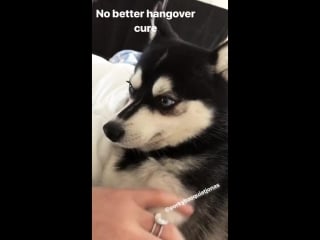 Sophiet on instagram stories | 7 июля 2018