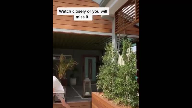 Испугались ? обосрался !