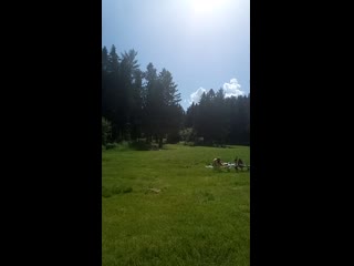 Vid 20200610 151740 mp4