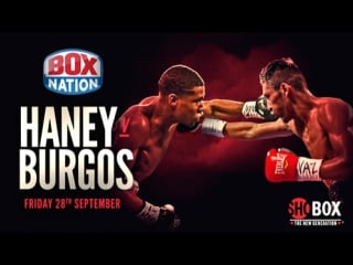 Devin haney vs juan carlos burgos