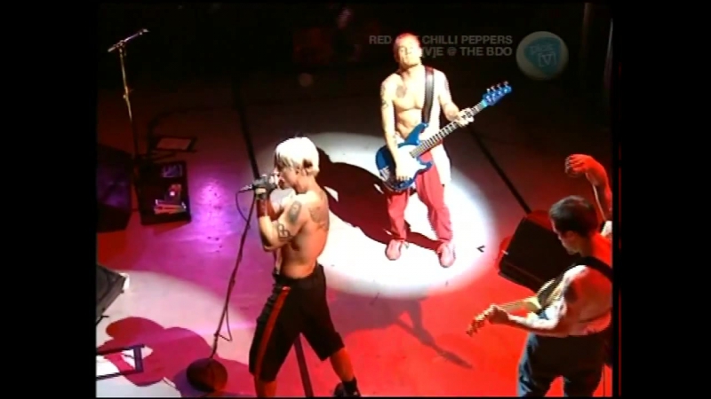 Red hot chili peppers sydney bdo 2000 (full show in hd proshot)