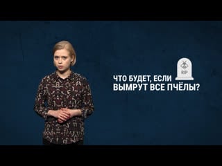 Что будет, если вымрут пчелы?