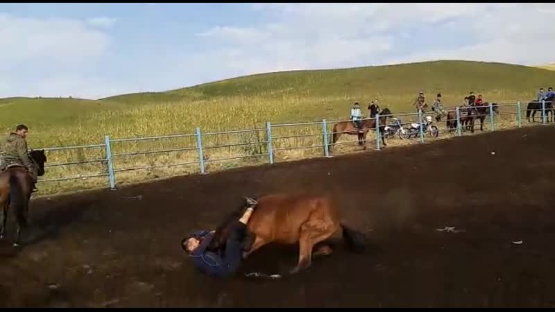 "оседлал" коня