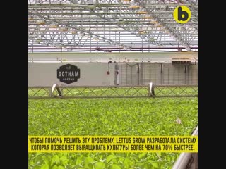 61e68335 9706 4211 bbb2 5164dc349dc2