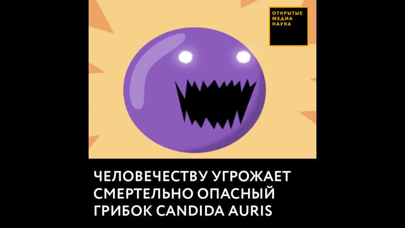 Человечеству угрожает смертельно опасный грибок candida auris