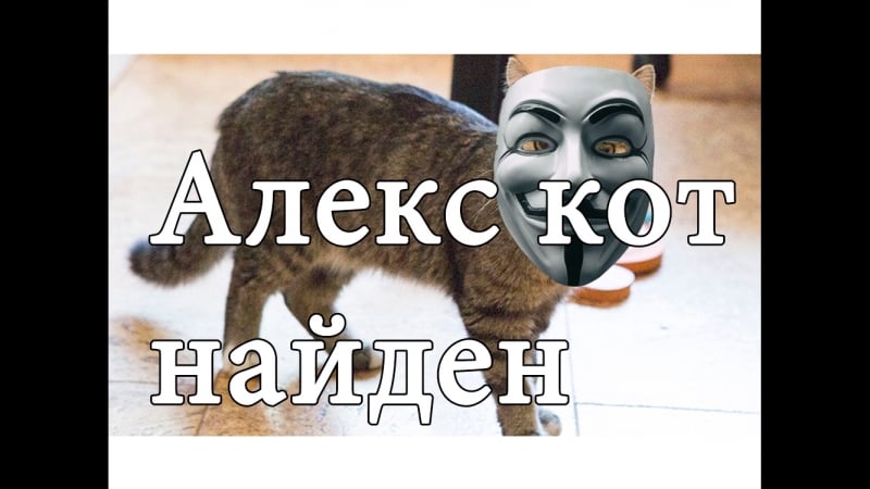 Котяра обнаружен xaxaxaax