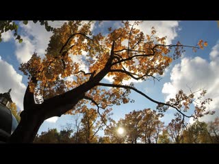 In the garden at peterhof, st petersburg 俄罗斯拾零 彼得夏宫和冬宫广场