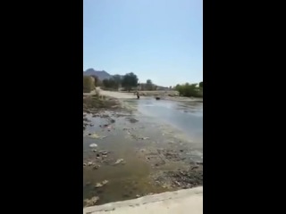 Крутой дрифт на мотороллере по воде == кормушка уникальное фото видео приколы гифки ==