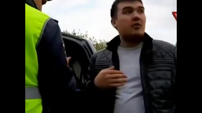 Омске porn video – В омске сотрудники гибдд задержали неадекватного водителя