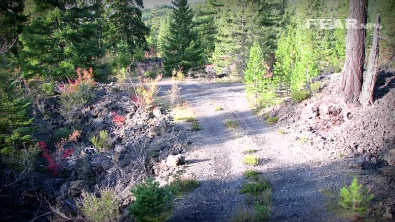 Девушка разделась догола, ушла в лес и загадочно исчезла что случилось с морин келли?