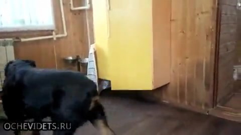 К празднику готов