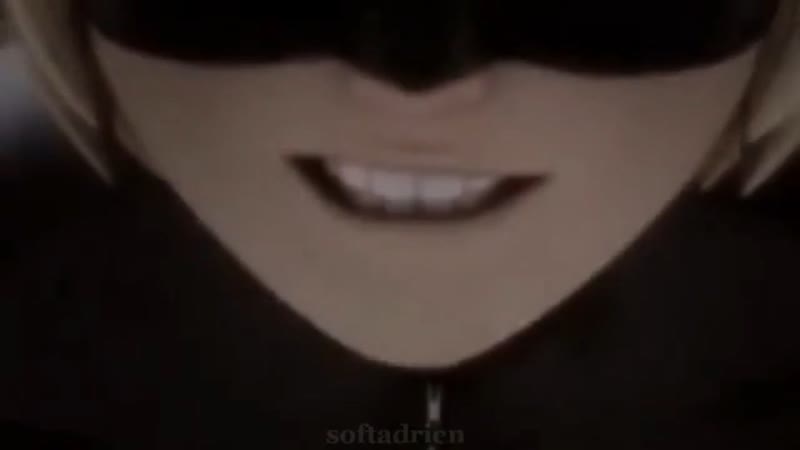 Adrien agreste (chat noir) vine