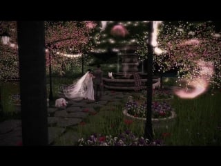 Private glans of mr &