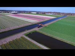 Dutch flower fields near keukenhof, the netherlands drone footage (dji inspire 1)