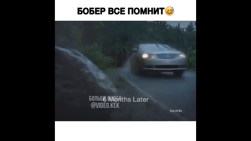 Бобёр все помнит