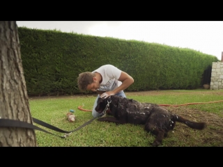 Видео 2 pablo alboran con terral #micasaeslatuya