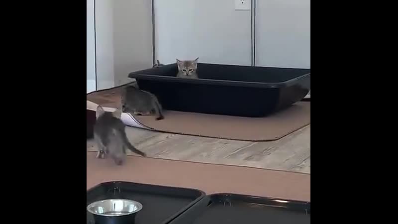 Осеннее настроение