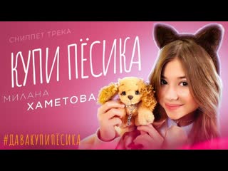 Сниппет трека милана хаметова "купи пёсика"