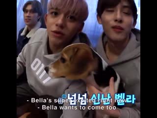 Bella's super exited right now