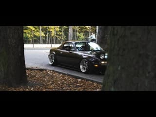 Chestnut | static mx5 | stanny ¦ perfect stance