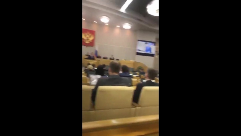 Юля пушман сидит в госдуме