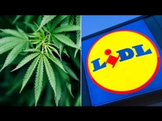 Lidl verkauft jetzt cannabis youtube