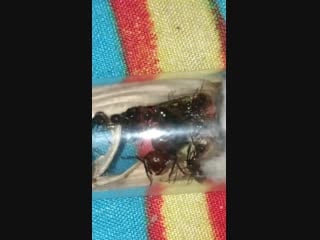 V 20190114 182925 vhdr on mp4