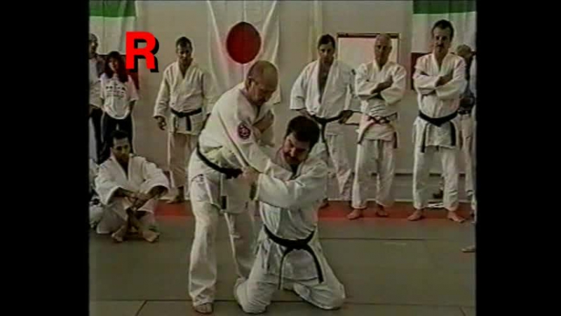 Дзюдо семинар в ельчанинова борьба лежа часть 3 переход на болевой приём