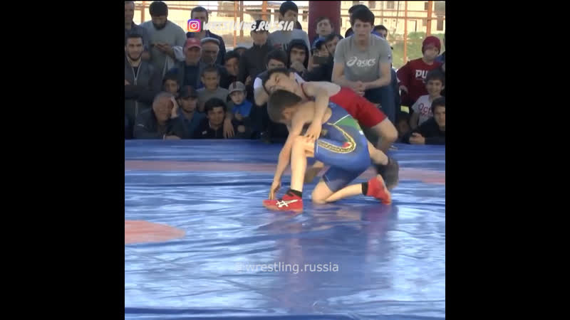Зрелищная схватка молодых тигров 🤼‍♂️🔝