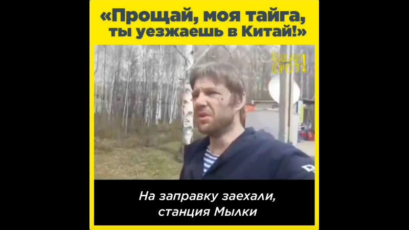 «прощай, моя тайга, ты уезжаешь в китай!»