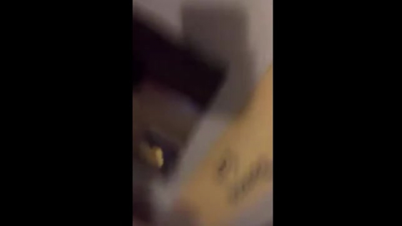 Побег михаила касьянова из кладои гостиницы в нижнем новгороде катасонова мария