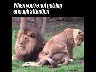 Dammit woman, i'm trying to watch the game!!!