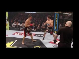 Nick diaz k j noons 2