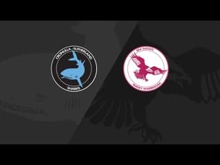 Nrl grand final 1978 cronulla sharks manly sea eagles 16 09 1978