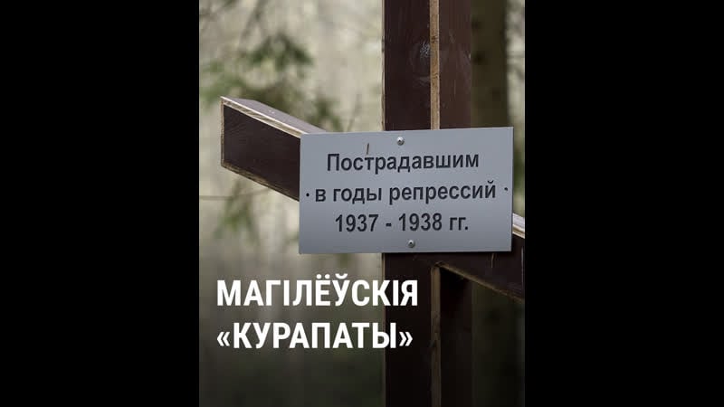 Пад магілёвам знайшлі новае месца сталінскіх расстрэлаў