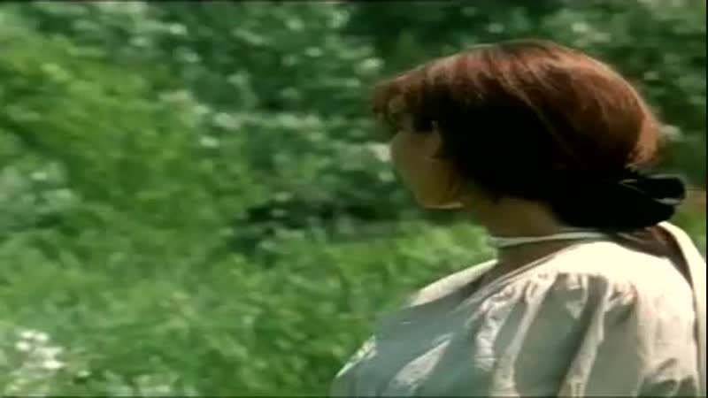 Tarzan x shame of jane