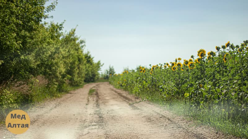 С мёдом теплее