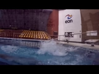 3 drills for a perfect start reaction drill swimming freestyle breastroke bu