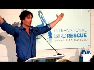 Actor activist ian somerhalder joins dawn wildlife to celebrate “we all love wildlife”
